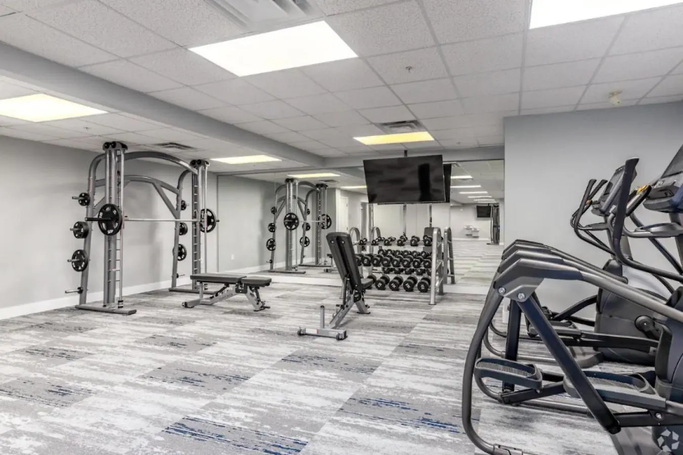 Appartement Bright Uptown Bliss - Free Parking, Walkable, Views à Charlotte États-Unis
